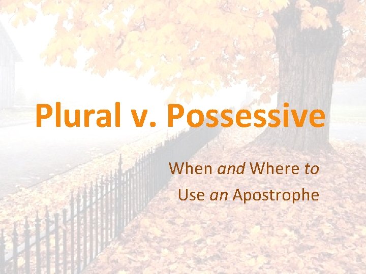 Plural v. Possessive When and Where to Use an Apostrophe 