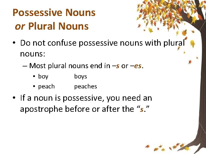 Possessive Nouns or Plural Nouns • Do not confuse possessive nouns with plural nouns: