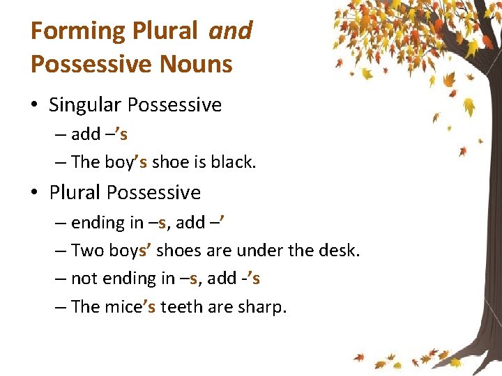Forming Plural and Possessive Nouns • Singular Possessive – add –’s – The boy’s
