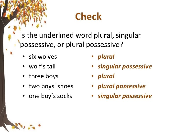 Check Is the underlined word plural, singular possessive, or plural possessive? • • •