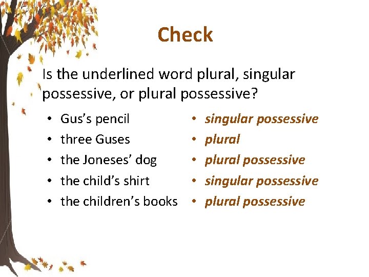 Check Is the underlined word plural, singular possessive, or plural possessive? • • •