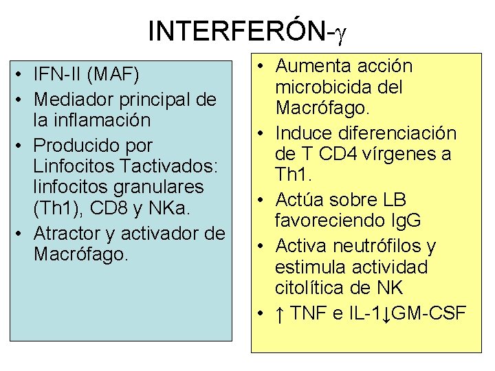 INTERFERÓN- • IFN-II (MAF) • Mediador principal de la inflamación • Producido por Linfocitos