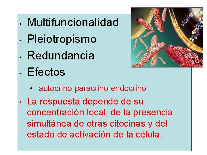  • • Multifuncionalidad Pleiotropismo Redundancia Efectos • autocrino-paracrino-endocrino • La respuesta depende de