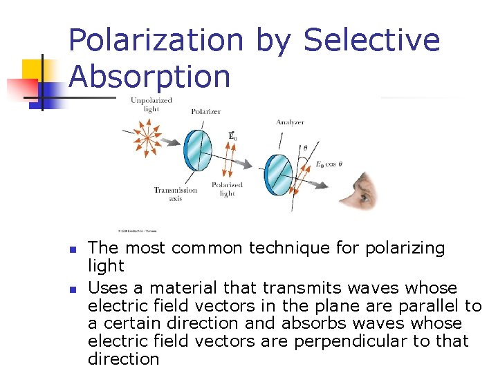 Polarization by Selective Absorption n n The most common technique for polarizing light Uses