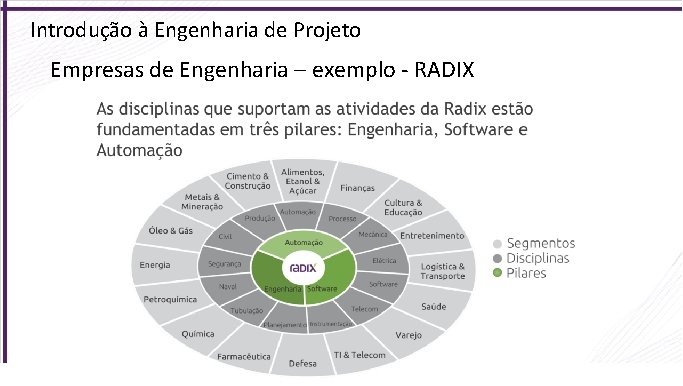 Introdução à Engenharia de Projeto Empresas de Engenharia – exemplo - RADIX 