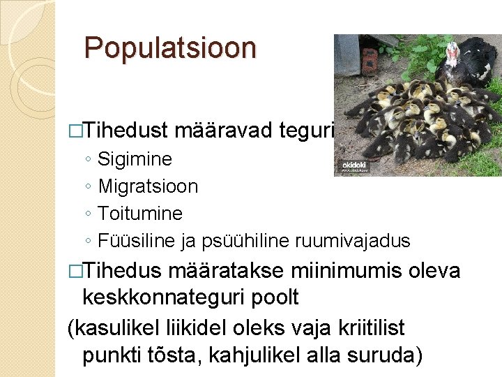 Populatsioon �Tihedust ◦ ◦ määravad tegurid: Sigimine Migratsioon Toitumine Füüsiline ja psüühiline ruumivajadus �Tihedus