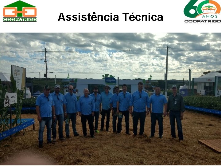 Assistência Técnica 