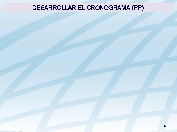 DESARROLLAR EL CRONOGRAMA (PP) 46 
