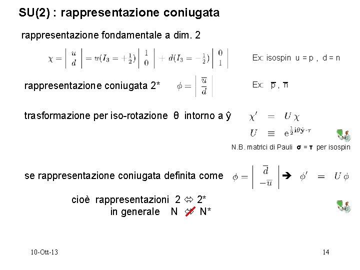 SU(2) : rappresentazione coniugata rappresentazione fondamentale a dim. 2 Ex: isospin u = p