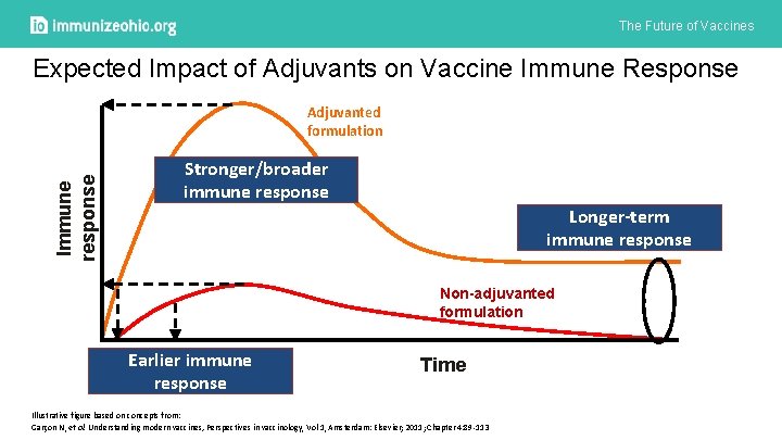 The Future of Vaccines Expected Impact of Adjuvants on Vaccine Immune Response Immune response