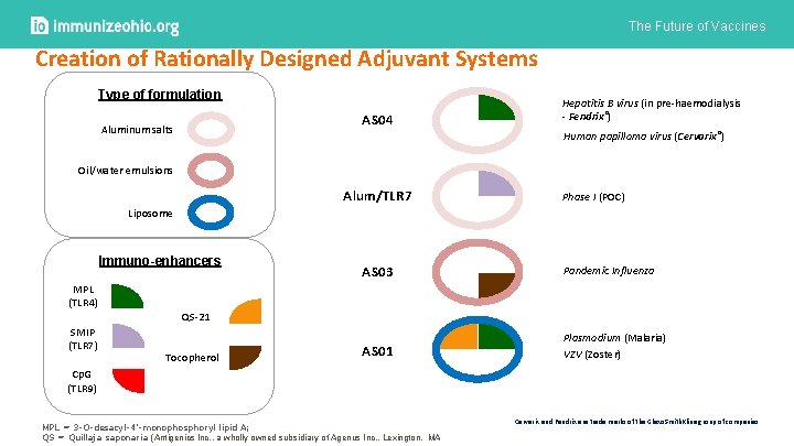 The Future of Vaccines Creation of Rationally Designed Adjuvant Systems Type of formulation AS