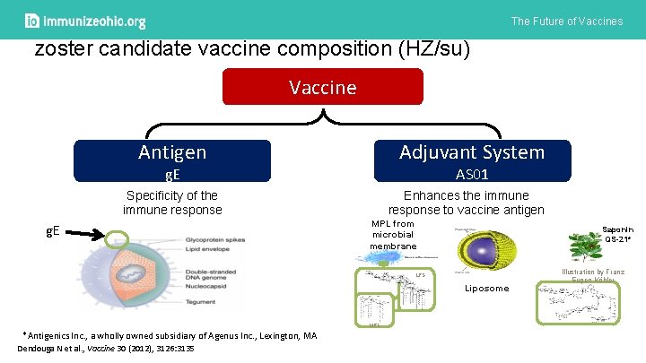 The Future of Vaccines zoster candidate vaccine composition (HZ/su) Vaccine Adjuvant System Antigen AS