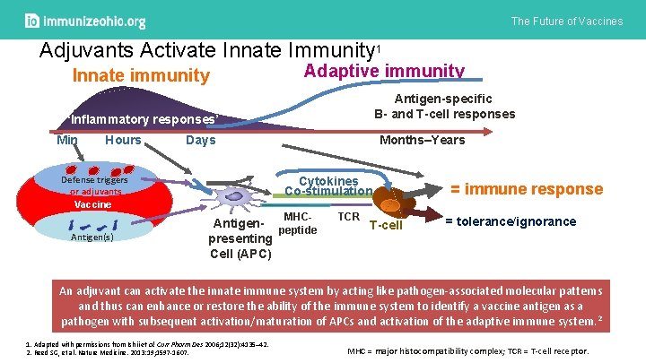 The Future of Vaccines Adjuvants Activate Innate Immunity 1 Innate immunity Adaptive immunity Antigen-specific