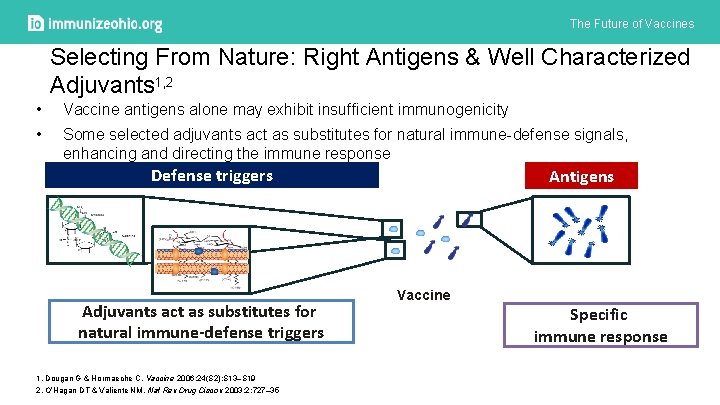 The Future of Vaccines Selecting From Nature: Right Antigens & Well Characterized Adjuvants 1,