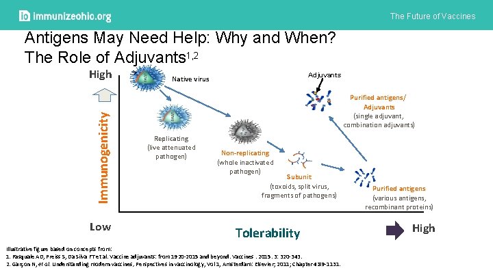 The Future of Vaccines Antigens May Need Help: Why and When? The Role of