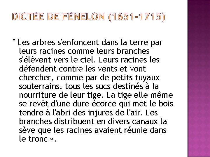 " Les arbres s'enfoncent dans la terre par leurs racines comme leurs branches s'élèvent