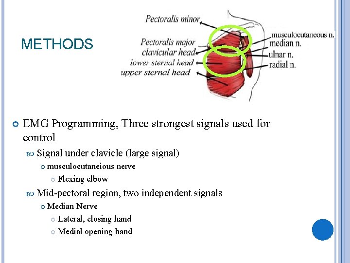 METHODS EMG Programming, Three strongest signals used for control Signal under clavicle (large signal)