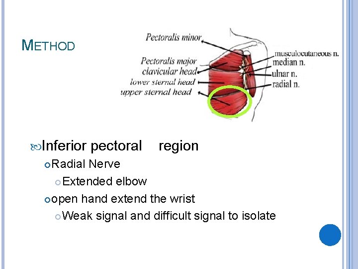 METHOD Inferior pectoral region Radial Nerve Extended elbow open hand extend the wrist Weak