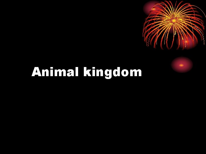 Animal kingdom 