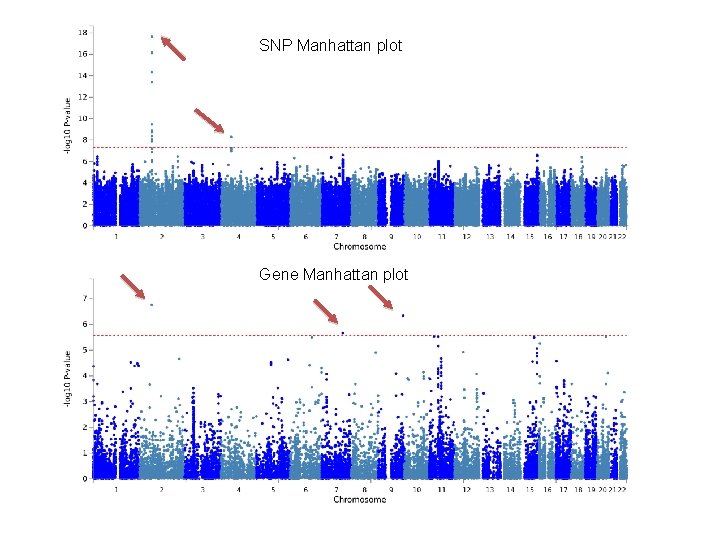 SNP Manhattan plot Gene Manhattan plot 