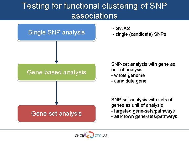 Testing for functional clustering of SNP associations Single SNP analysis Gene-based analysis Gene-set analysis