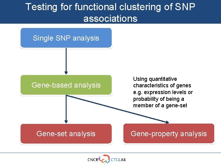 Testing for functional clustering of SNP associations Single SNP analysis Gene-based analysis Gene-set analysis