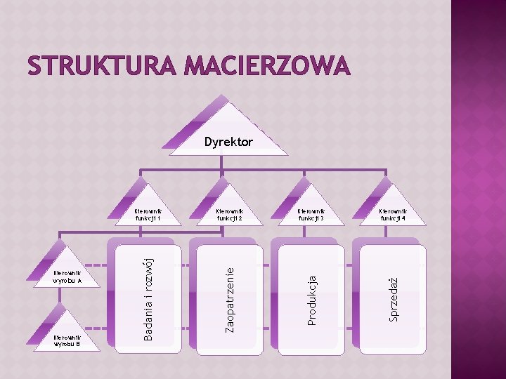 STRUKTURA MACIERZOWA Kierownik funkcji 3 Kierownik funkcji 4 Produkcja Sprzedaż Kierownik wyrobu B Kierownik