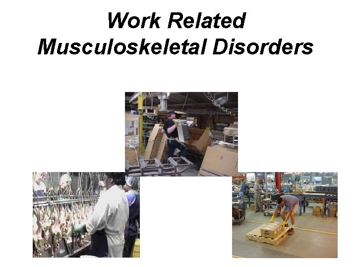 Work Related Musculoskeletal Disorders 