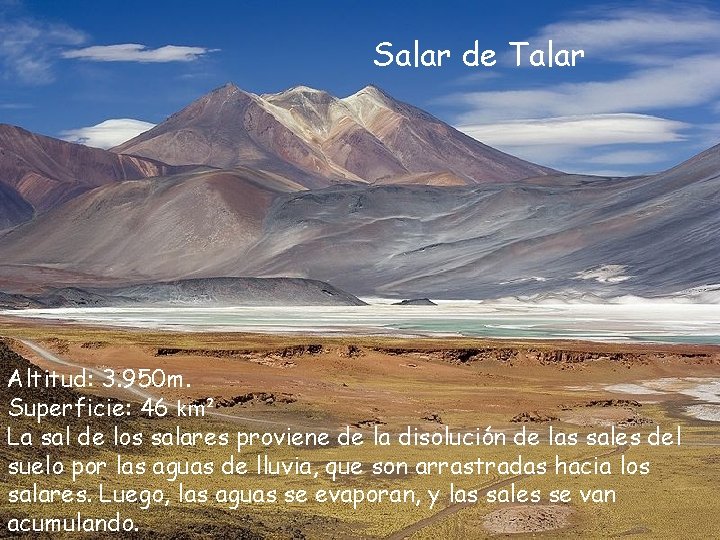 Salar de Talar Altitud: 3. 950 m. Superficie: 46 km² La sal de los