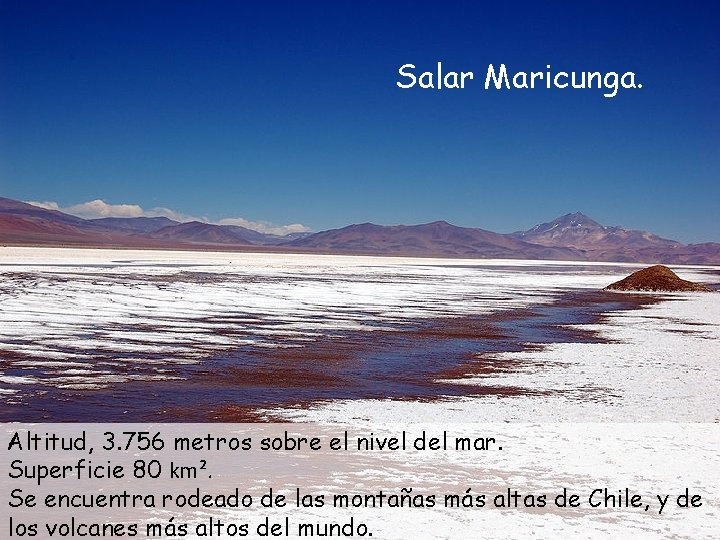 Salar Maricunga. Altitud, 3. 756 metros sobre el nivel del mar. Superficie 80 km².