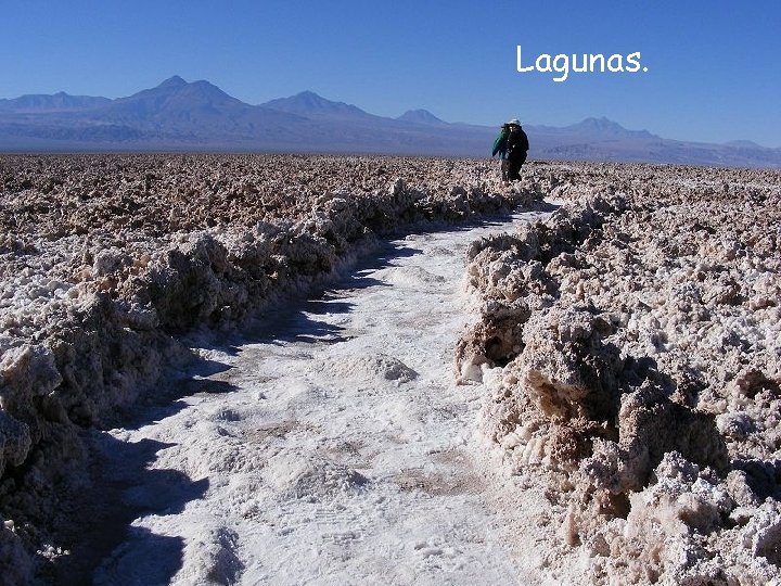 Lagunas. Una laguna se ha formado, tras lluvias, en la parte más seca del