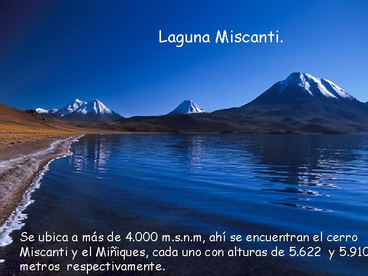 Laguna Miscanti. Se ubica a más de 4. 000 m. s. n. m, ahí