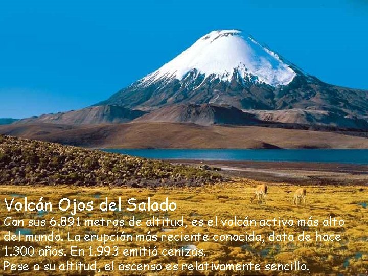 Volcán Ojos del Salado Con sus 6. 891 metros de altitud, es el volcán