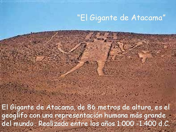 “El Gigante de Atacama” El Gigante de Atacama, de 86 metros de altura, es