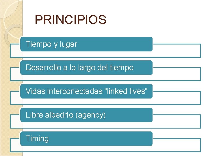 PRINCIPIOS Tiempo y lugar Desarrollo a lo largo del tiempo Vidas interconectadas “linked lives” PRINCIPIOS Tiempo y lugar Desarrollo a lo largo del tiempo Vidas interconectadas “linked lives”