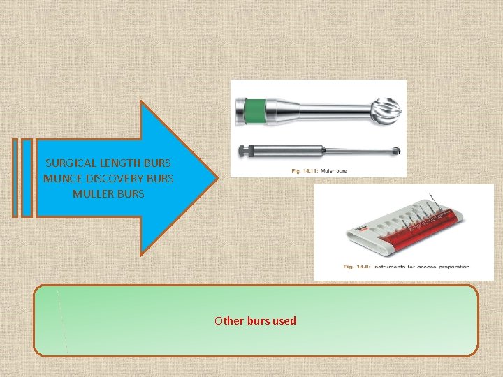 SURGICAL LENGTH BURS MUNCE DISCOVERY BURS MULLER BURS Other burs used 