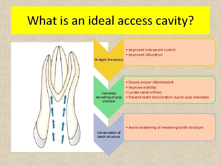 What is an ideal access cavity? • Improved instrument control • Improved obturation Straight