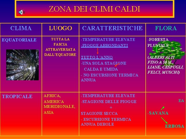 ZONA DEI CLIMI CALDI CLIMA EQUATORIALE TROPICALE LUOGO CARATTERISTICHE FLORA TUTTA LA FASCIA ATTRAVERSATA