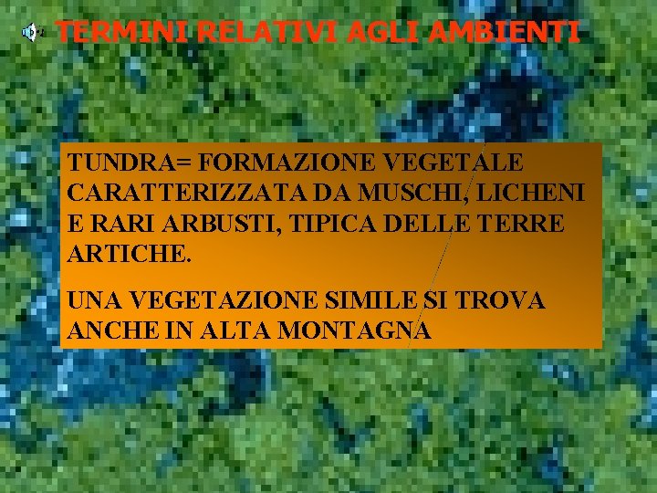 TERMINI RELATIVI AGLI AMBIENTI TUNDRA= FORMAZIONE VEGETALE CARATTERIZZATA DA MUSCHI, LICHENI E RARI ARBUSTI,