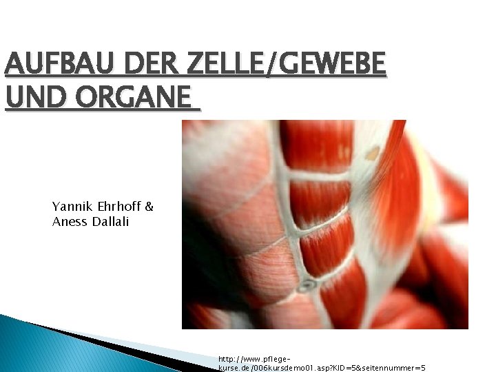 AUFBAU DER ZELLE/GEWEBE UND ORGANE Yannik Ehrhoff & Aness Dallali http: //www. pflegekurse. de/006