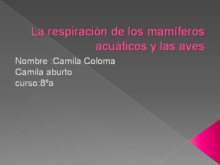 La respiración de los mamíferos acuáticos y las aves Nombre : Camila Coloma Camila