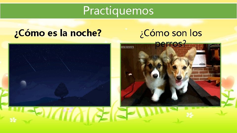 Practiquemos ¿Cómo es la noche? ¿Cómo son los perros? 