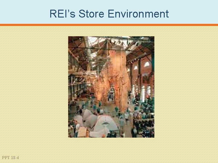 REI’s Store Environment PPT 18 -4 