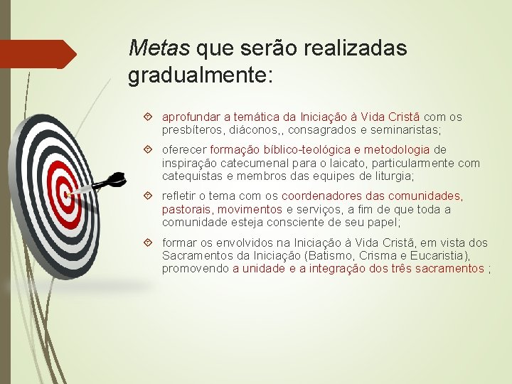 Metas que serão realizadas gradualmente: aprofundar a temática da Iniciação à Vida Cristã com
