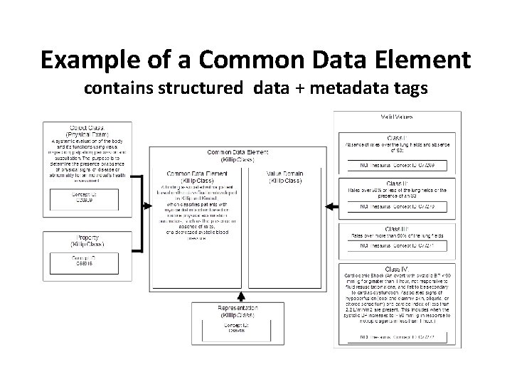 Example of a Common Data Element contains structured data + metadata tags 
