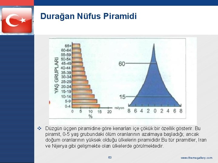 LOGO Durağan Nüfus Piramidi v Düzgün üçgen piramidine göre kenarları içe çökük bir özellik