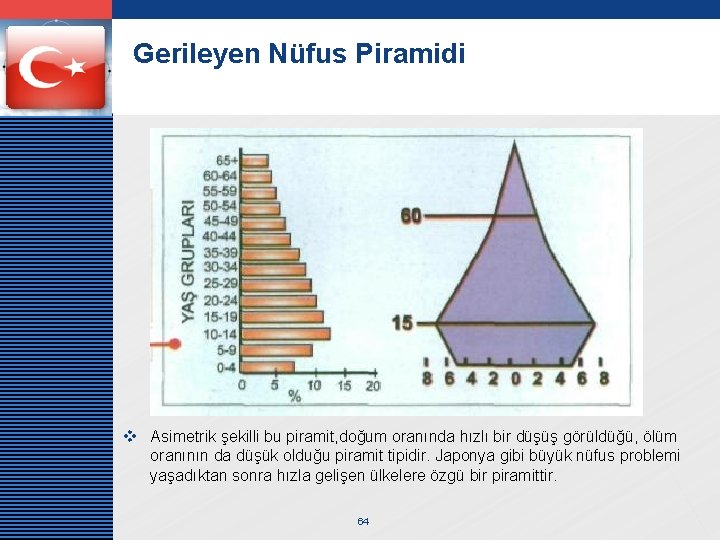 LOGO Gerileyen Nüfus Piramidi v Asimetrik şekilli bu piramit, doğum oranında hızlı bir düşüş