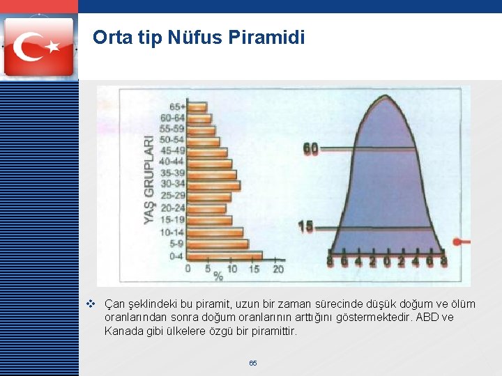 LOGO Orta tip Nüfus Piramidi v Çan şeklindeki bu piramit, uzun bir zaman sürecinde