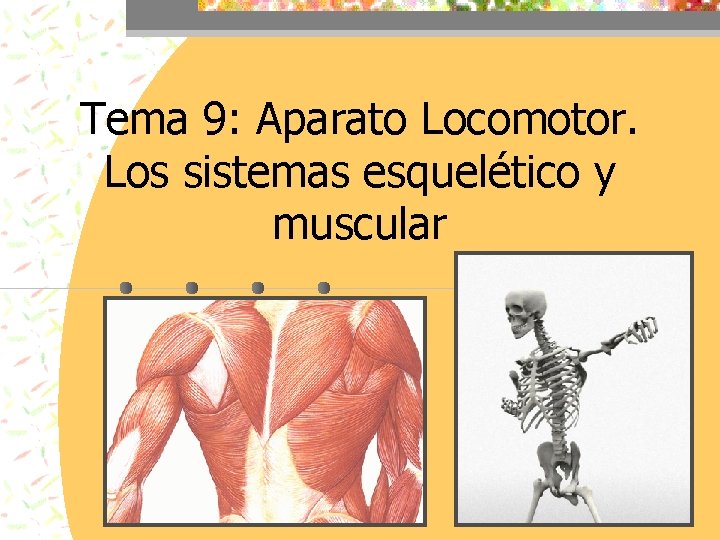 Tema 9: Aparato Locomotor. Los sistemas esquelético y muscular 