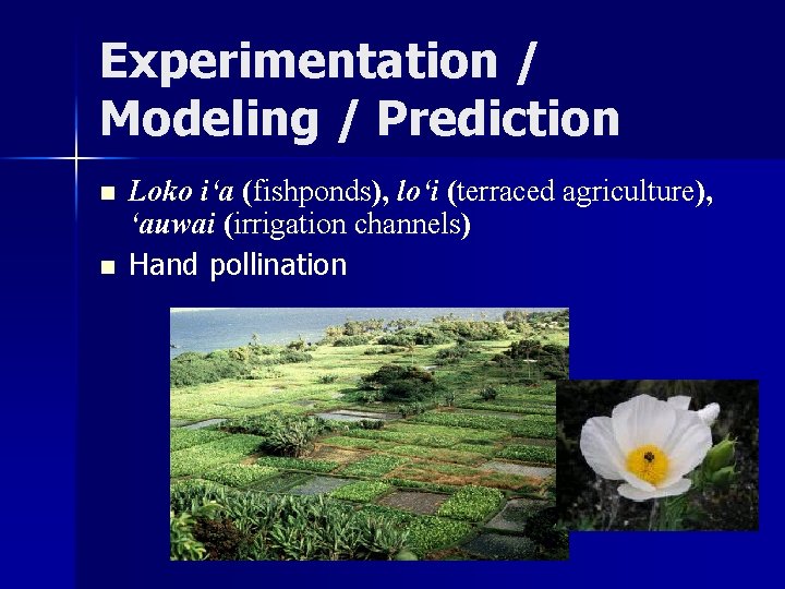 Experimentation / Modeling / Prediction n n Loko i‘a (fishponds), lo‘i (terraced agriculture), ‘auwai